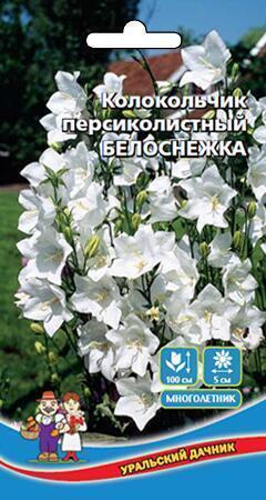Купить оптом в Ботанике семена Колокольчик Белоснежка УД бренд Уральский дачник