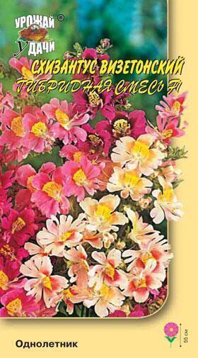 Купить оптом в Ботанике семена Схизантус Визетонский УУ бренд Урожай Удачи