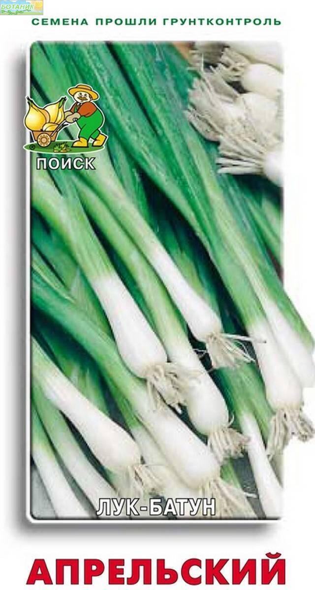 Купить оптом в Ботанике семена Лук батун Апрельский Поиск бренд Поиск