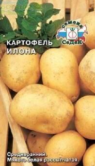 Купить оптом в Ботанике семена Картофель Илона Сед бренд СеДеК