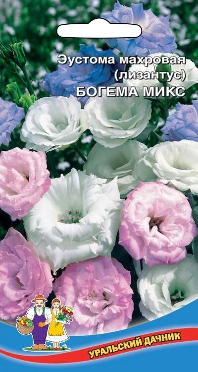 Купить оптом в Ботанике семена Эустома Богема микс УД бренд Уральский дачник
