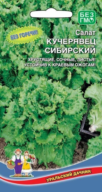 Купить оптом в Ботанике семена Салат Кучерявец Сибирский УД бренд Уральский дачник