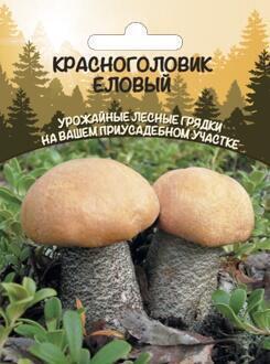 Купить оптом в Ботанике семена Грибы Красноголовик еловый УД бренд Уральский дачник