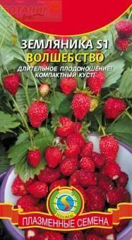 Купить оптом в Ботанике семена Земляника S1 Волшебство Плз бренд Плазмас