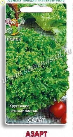 Купить оптом в Ботанике семена Салат Азарт Поиск бренд Поиск