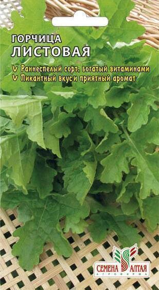 Купить оптом в Ботанике семена Укроп Лесногородский СА бренд Семена Алтая