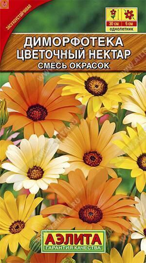Купить оптом в Ботанике семена Диморфотека Цветочный нектар Аэл бренд Аэлита