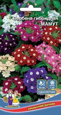 Купить оптом в Ботанике семена Вербена Мамут гибридная УД бренд Уральский дачник