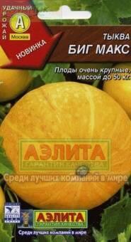 Купить оптом в Ботанике семена Тыква Биг макс Аэл бренд Аэлита
