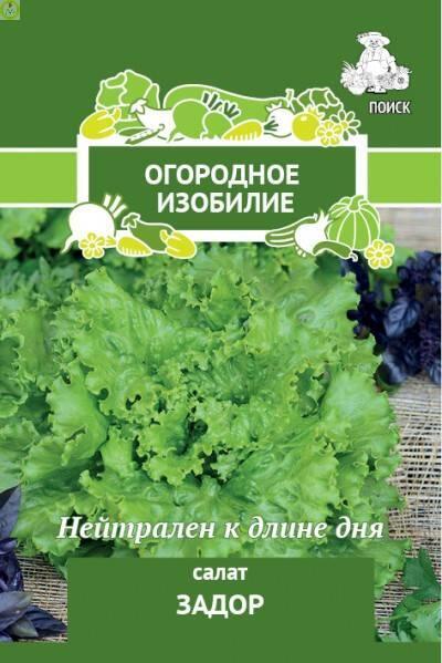 Купить оптом в Ботанике семена Салат Задор Поиск бренд Поиск