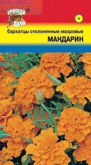 Купить оптом в Ботанике семена Бархатцы Мандарин отклоненные УУ бренд Урожай Удачи