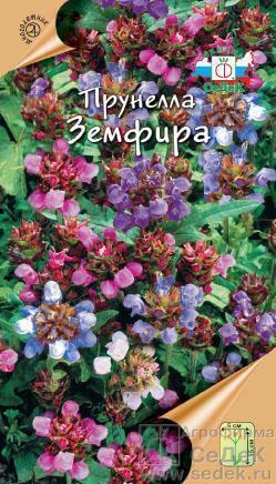 Купить оптом в Ботанике семена Прунелла Земфира Сед бренд СеДеК