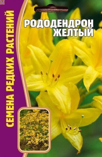 Купить оптом в Ботанике семена Рододендрон Желтый Реш бренд Решение, ООО