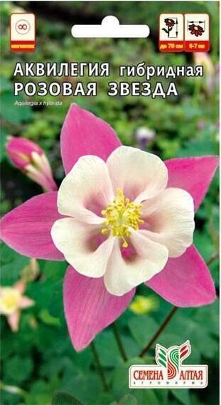 Купить оптом в Ботанике семена Аквилегия Розовая звезда F1 СА бренд Семена Алтая