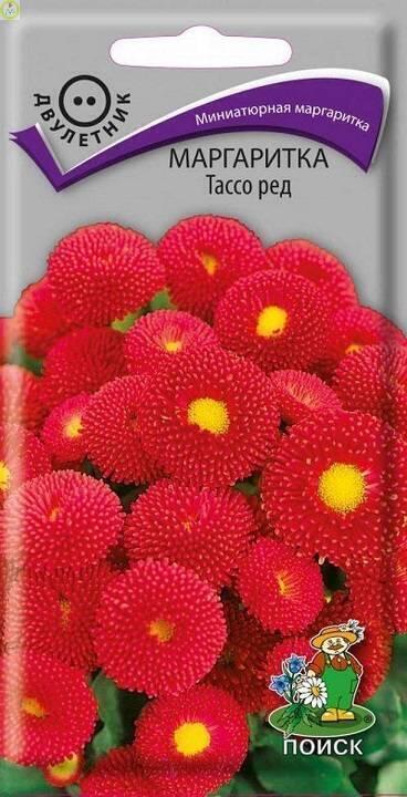 Купить оптом в Ботанике семена Маргаритка Тассо ред Поиск бренд Поиск