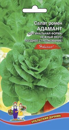 Купить оптом в Ботанике семена Салат Адамант УД бренд Уральский дачник