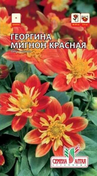 Купить оптом в Ботанике семена Георгина Мигнон смесь СА бренд Семена Алтая