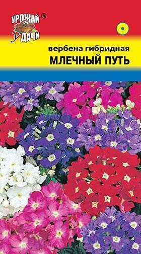 Купить оптом в Ботанике семена Вербена Млечный путь УУ бренд Урожай Удачи
