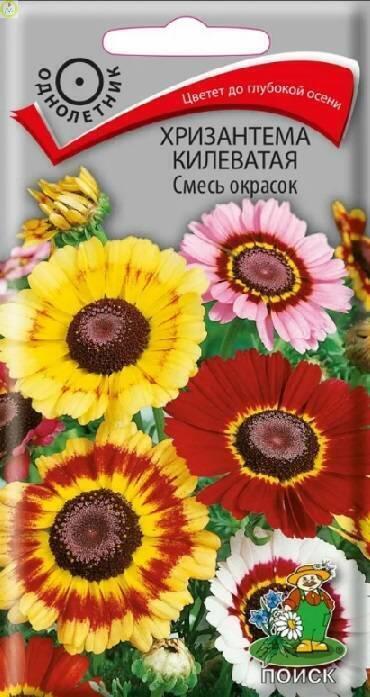 Купить оптом в Ботанике семена Хризантема килеватая Смесь окрасок Поиск бренд Поиск