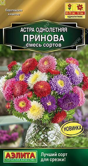 Купить оптом в Ботанике семена Астра Принова смесь Аэл бренд Аэлита