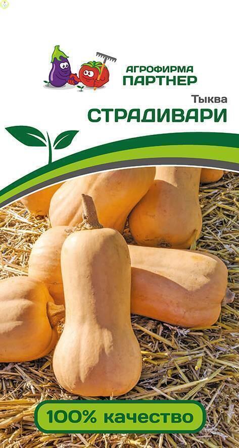 Купить оптом в Ботанике семена Тыква Страдивари Пар бренд Партнер