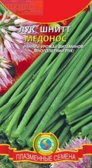 Купить оптом в Ботанике семена Лук шнитт Медонос Плз бренд Плазмас
