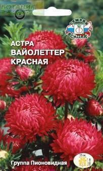 Купить оптом в Ботанике семена Астра Вайолеттер красная Сед бренд СеДеК