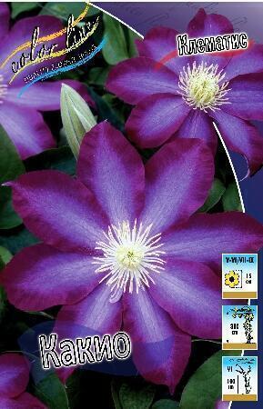 Купить оптом в Ботанике Клематис Какио 2 шт