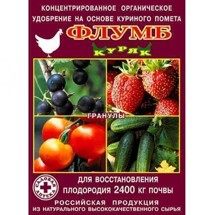 Купить оптом в Ботанике Флумб куряк 1 кг (10)