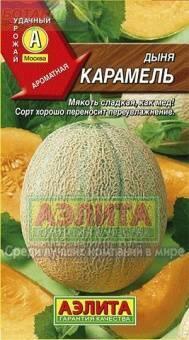 Купить оптом в Ботанике семена Дыня Карамель Аэл бренд Аэлита