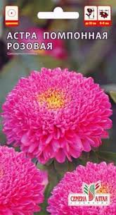Купить оптом в Ботанике семена Астра Помпонная розовая СА бренд Семена Алтая
