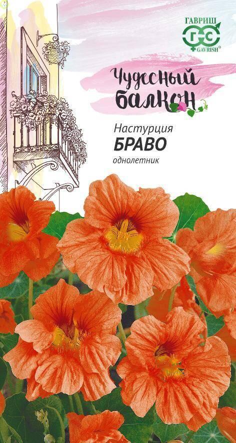 Купить оптом в Ботанике семена Настурция Браво Гав бренд Гавриш