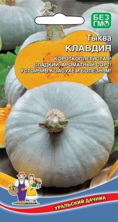 Купить оптом в Ботанике семена Тыква Клавдия УД бренд Уральский дачник