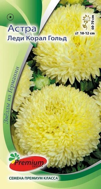 Купить оптом в Ботанике семена Астра Леди корал Гольд ПС бренд Премиум Сидс