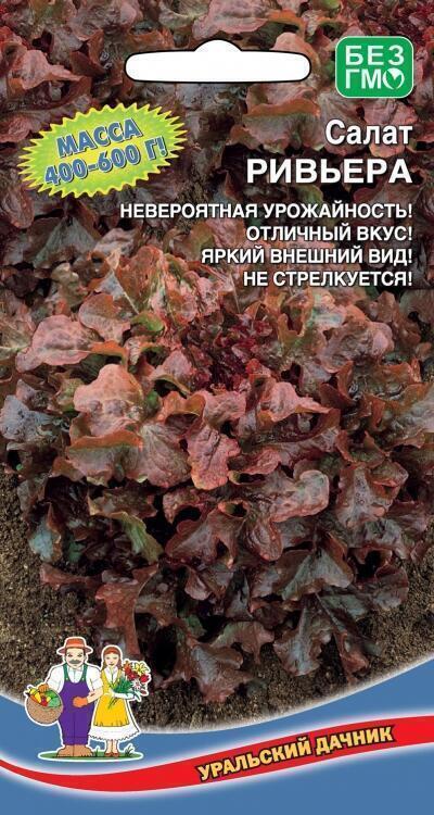 Купить оптом в Ботанике семена Салат Ривьера Новинка УД бренд Уральский дачник