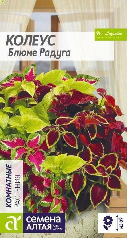 Купить оптом в Ботанике семена Колеус Блюме Радуга смесь СА бренд Семена Алтая