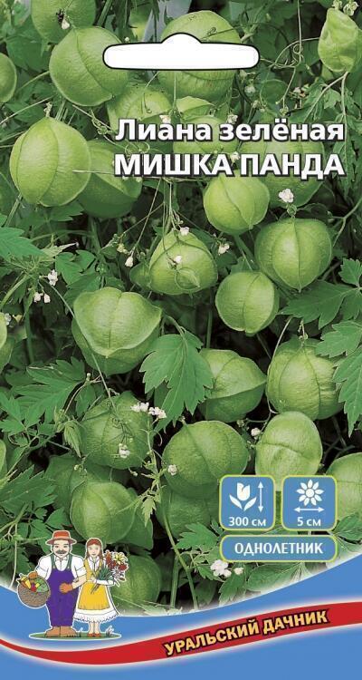 Купить оптом в Ботанике семена Лиана Мишка Панда зеленая УД бренд Уральский дачник