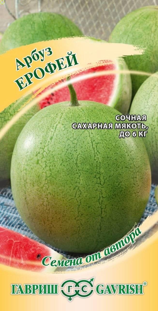 Купить оптом в Ботанике семена Арбуз Ерофей Гав бренд Гавриш