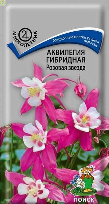 Купить оптом в Ботанике семена Аквилегия Розовая звезда Поиск бренд Поиск