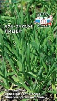 Купить оптом в Ботанике семена Лук слизун Лидер Сед бренд СеДеК