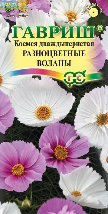 Купить оптом в Ботанике семена Космея Разноцветные воланы смесь Гав бренд Гавриш