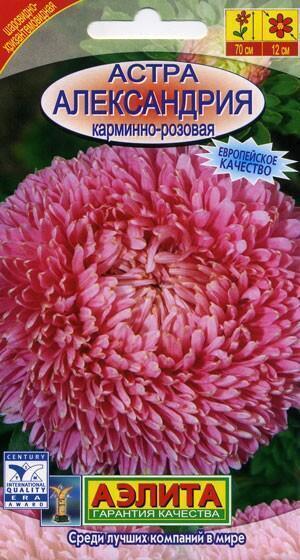 Купить оптом в Ботанике семена Астра Александрия карминно-розовая Аэл бренд Аэлита