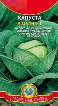 Купить оптом в Ботанике семена Капуста белокочанная Атрия F1 Плз бренд Плазмас