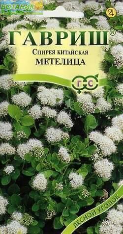 Купить оптом в Ботанике семена Спирея Метелица китайская Гав бренд Гавриш