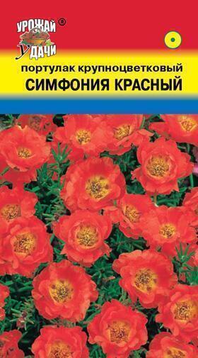 Купить оптом в Ботанике семена Портулак Симфония красный УУ бренд Урожай Удачи