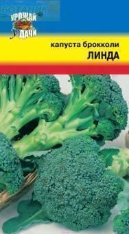 Купить оптом в Ботанике семена Капуста брокколи Линда УУ бренд Урожай Удачи