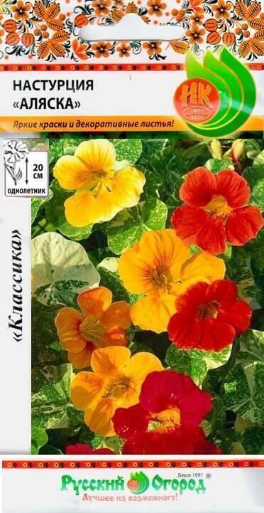 Купить оптом в Ботанике семена Настурция Аляска НК бренд НК
