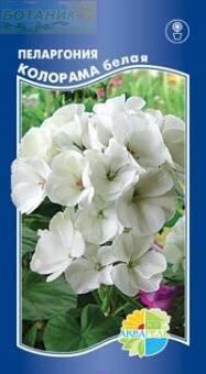 Купить оптом в Ботанике семена Пеларгония Калорама белая Акв бренд Акварель