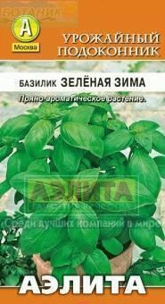 Купить оптом в Ботанике семена Базилик Зеленая зима Аэл бренд Аэлита