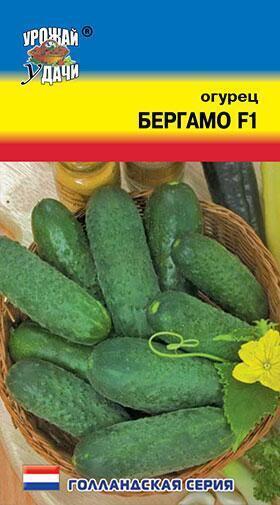 Купить оптом в Ботанике семена Огурец Бергамо F1 УУ бренд Урожай Удачи